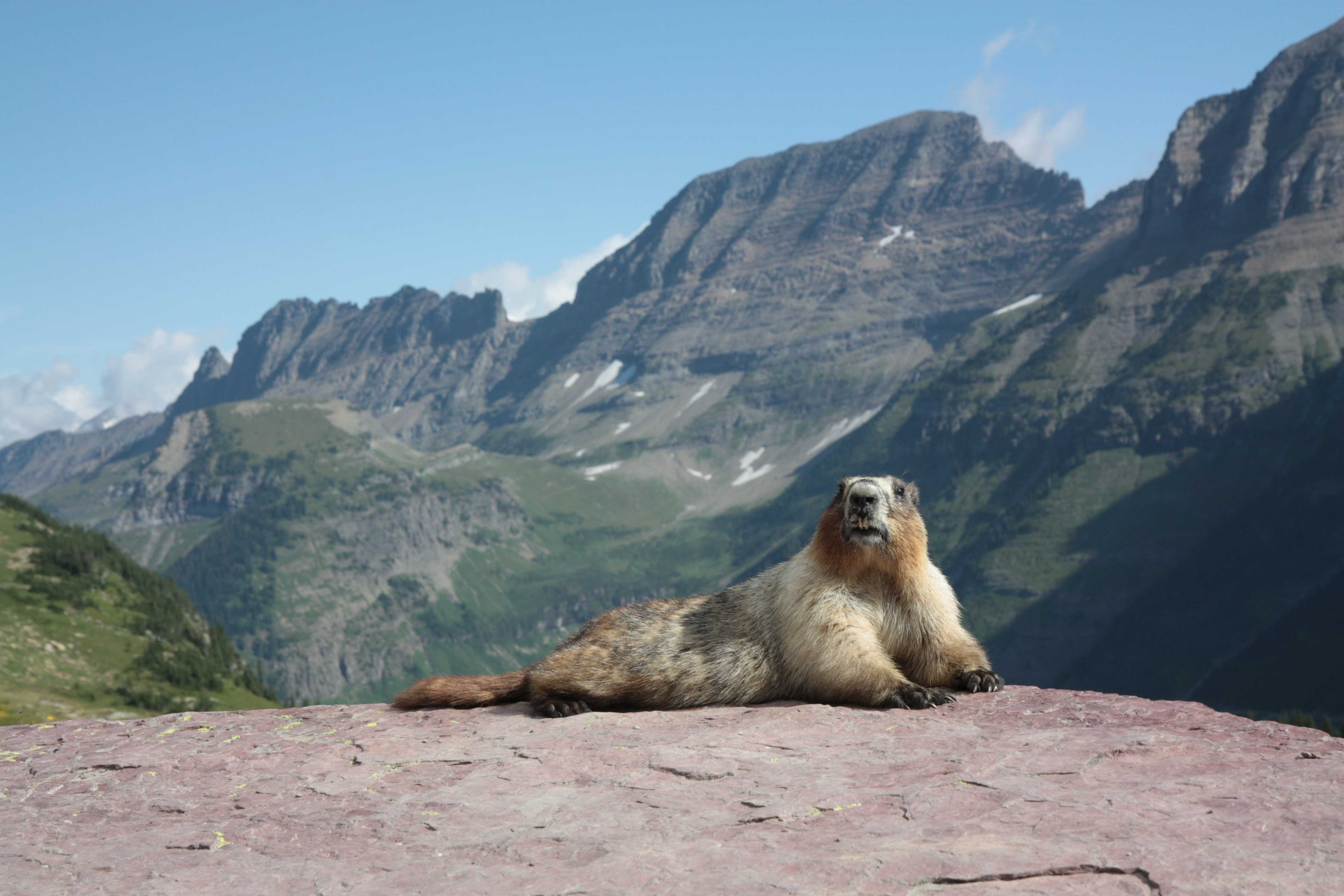 Glacier NP, Montana